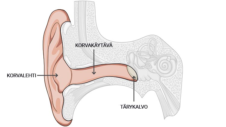 ulkokorva